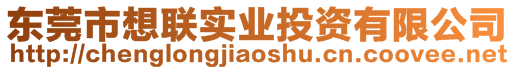 東莞市想聯(lián)實(shí)業(yè)投資有限公司