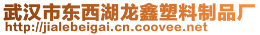 武漢市東西湖龍鑫塑料制品廠