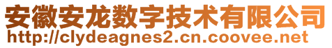 安徽安龍數(shù)字技術有限公司