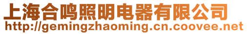 上海合鳴照明電器有限公司