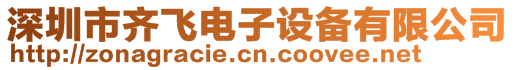 深圳市齊飛電子設備有限公司