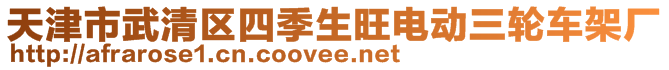 天津市武清區(qū)四季生旺電動(dòng)三輪車(chē)架廠