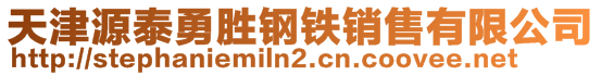 天津源泰勇勝鋼鐵銷(xiāo)售有限公司