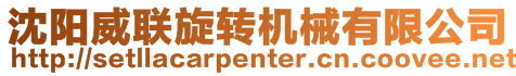 沈陽威聯旋轉機械有限公司