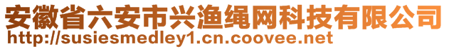 安徽省六安市興漁繩網(wǎng)科技有限公司