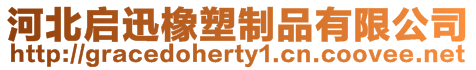 河北啟迅橡塑制品有限公司