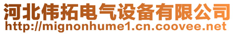 河北偉拓電氣設備有限公司
