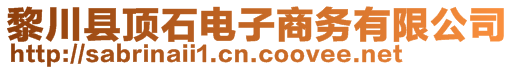 黎川縣頂石電子商務有限公司