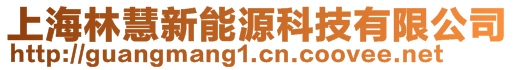 上海林慧新能源科技有限公司