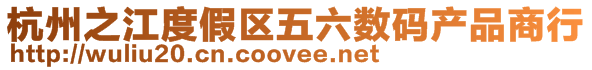 杭州之江度假區(qū)五六數(shù)碼產(chǎn)品商行