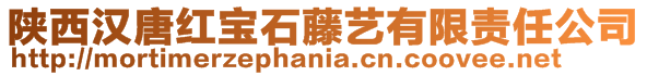 陜西漢唐紅寶石藤藝有限責任公司