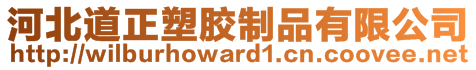 河北道正塑胶制品有限公司