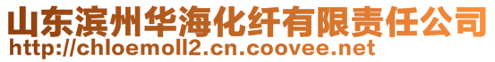 山東濱州華海化纖有限責(zé)任公司
