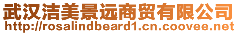 武漢潔美景遠商貿有限公司