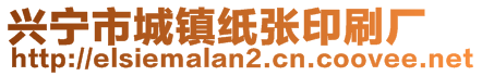 兴宁市城镇纸张印刷厂