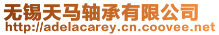 無(wú)錫天馬軸承有限公司