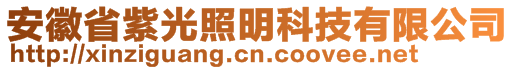 安徽省紫光照明科技有限公司