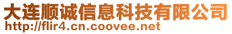 大連順誠信息科技有限公司