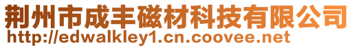 荊州市成豐磁材科技有限公司