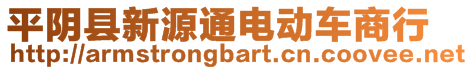 平陰縣新源通電動車商行