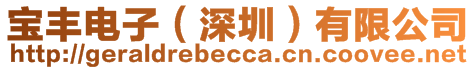 寶豐電子(深圳)有限公司