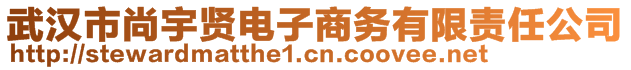 武漢市尚宇賢電子商務(wù)有限責任公司