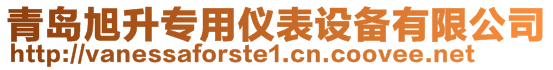 青島旭升專用儀表設(shè)備有限公司