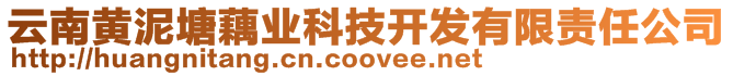 云南黃泥塘藕業(yè)科技開發(fā)有限責(zé)任公司