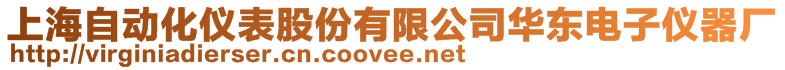 上海自動化儀表股份有限公司華東電子儀器廠
