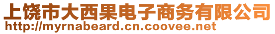 上饒市大西果電子商務(wù)有限公司