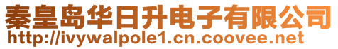 秦皇島華日升電子有限公司