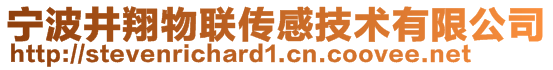 宁波井翔物联传感技术有限公司