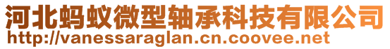 河北螞蟻微型軸承科技有限公司