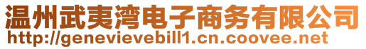 溫州武夷灣電子商務(wù)有限公司