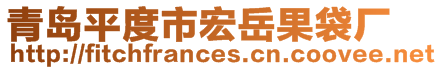 青島平度市宏岳果袋廠
