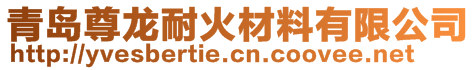 青島尊龍耐火材料有限公司