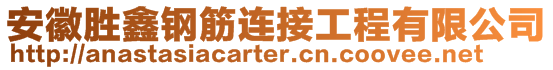 安徽勝鑫鋼筋連接工程有限公司