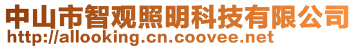 中山市智观照明科技有限公司