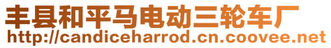 豐縣和平馬電動三輪車廠