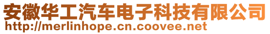 安徽華工汽車電子科技有限公司