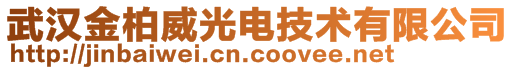 武漢金柏威光電技術有限公司