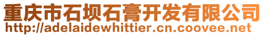 重慶市石壩石膏開發(fā)有限公司