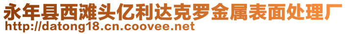 永年縣西灘頭億利達(dá)克羅金屬表面處理廠