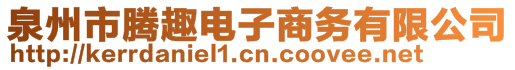 泉州市騰趣電子商務(wù)有限公司