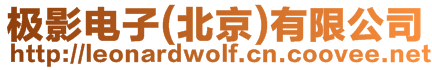 極影電子(北京)有限公司