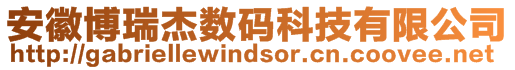 安徽博瑞杰數(shù)碼科技有限公司