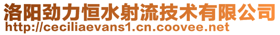 洛陽勁力恒水射流技術(shù)有限公司