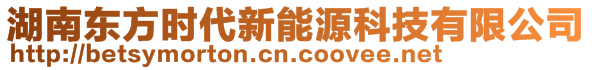 湖南東方時(shí)代新能源科技有限公司