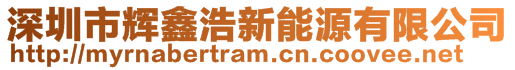 深圳市輝鑫浩新能源有限公司