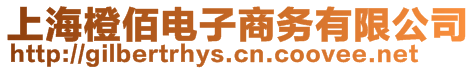 上海橙佰電子商務(wù)有限公司